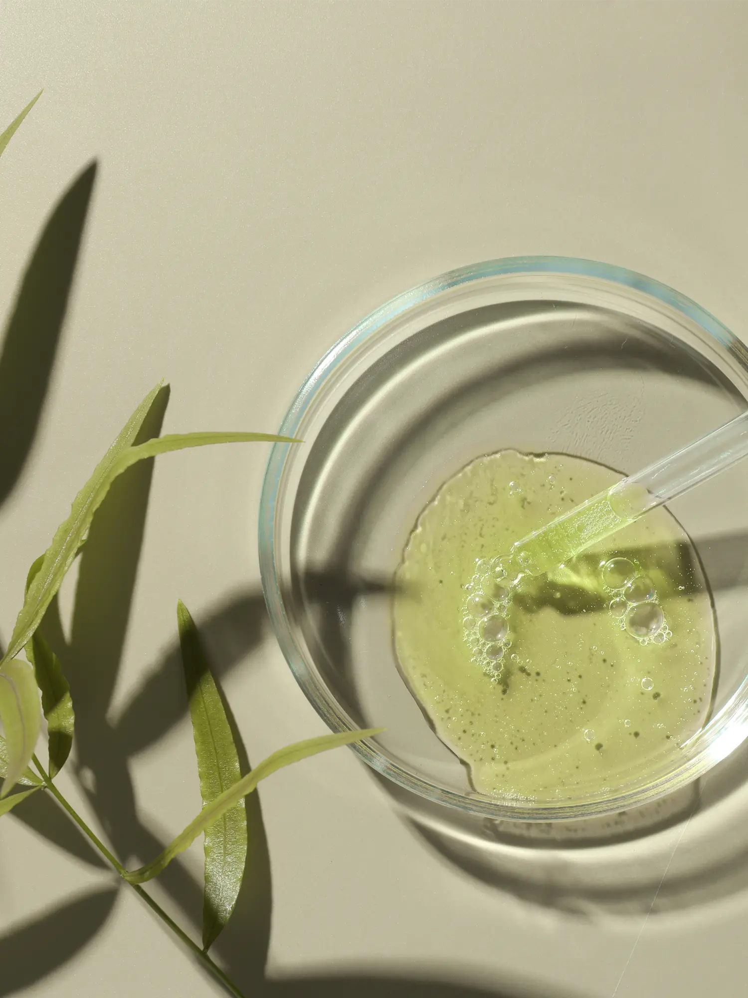 A glass dish with green liquid and plant leaves beside it.