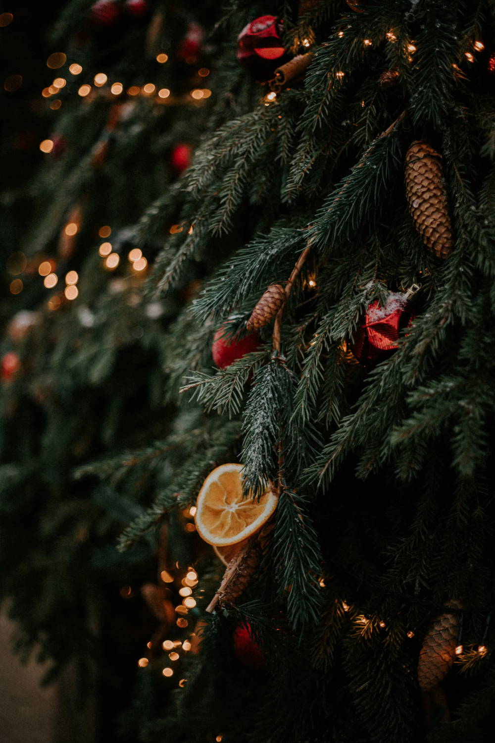 Closeup of Christmas tree bough, decorated with red ornaments, dried orange slices, and pine cones