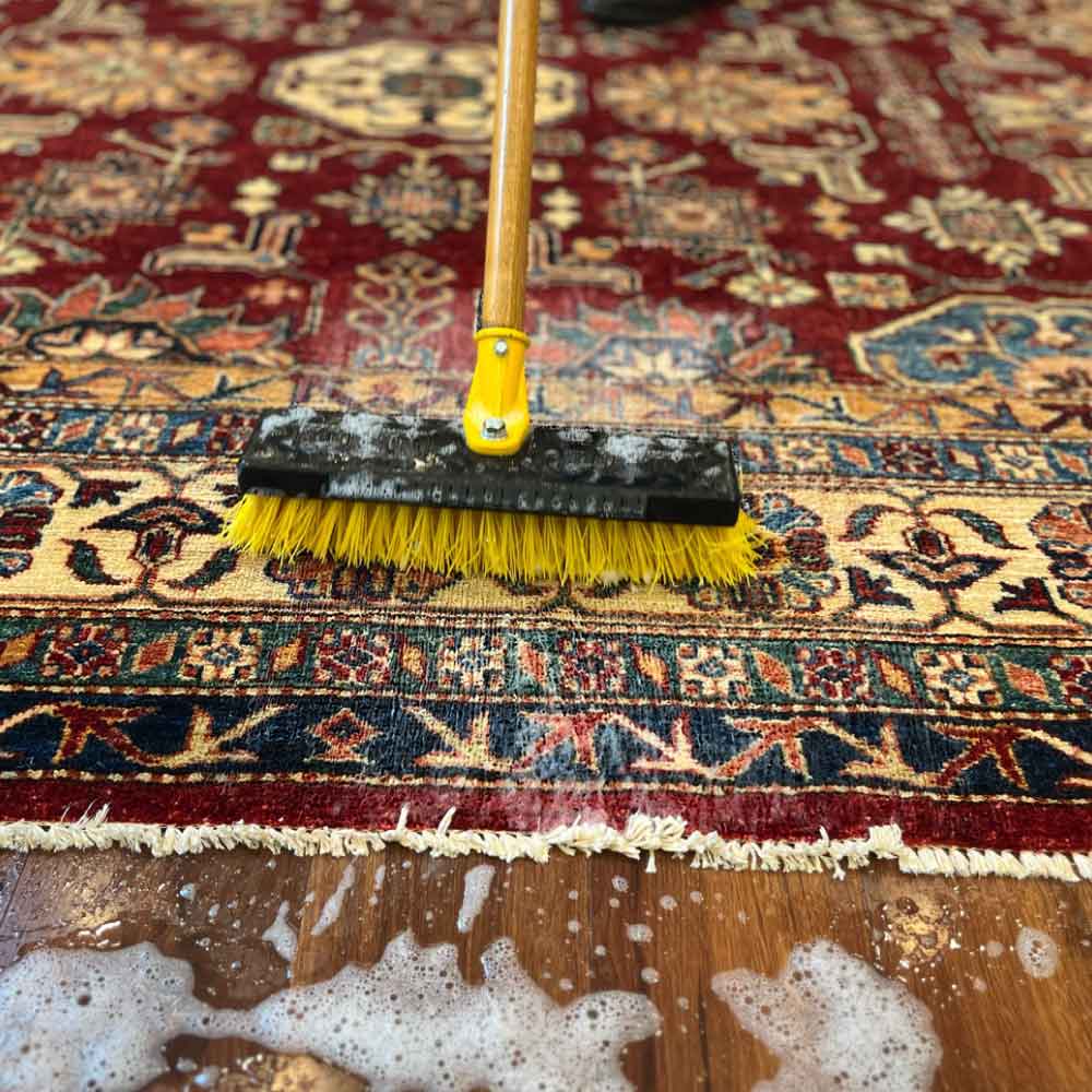 A Brush Scrubbing Shampoo and Cleaning an Oriental Rugs