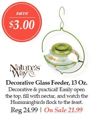 Nature's Way Decorative Glass Feeder, 13-ounce - Save $3.00! Decorative and practical! Easily open the top, fill with nectar, and watch the Hummingbirds flock to the feast. | Regular price $24.99 - On Sale $21.99