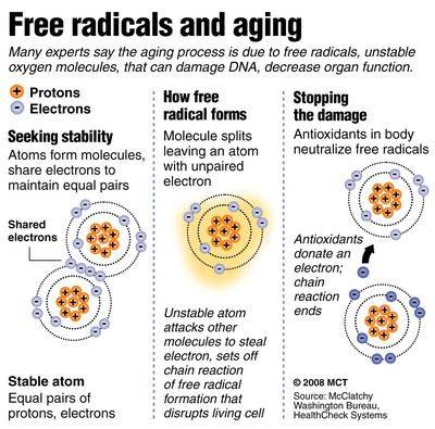 Free radicals and skin aging
