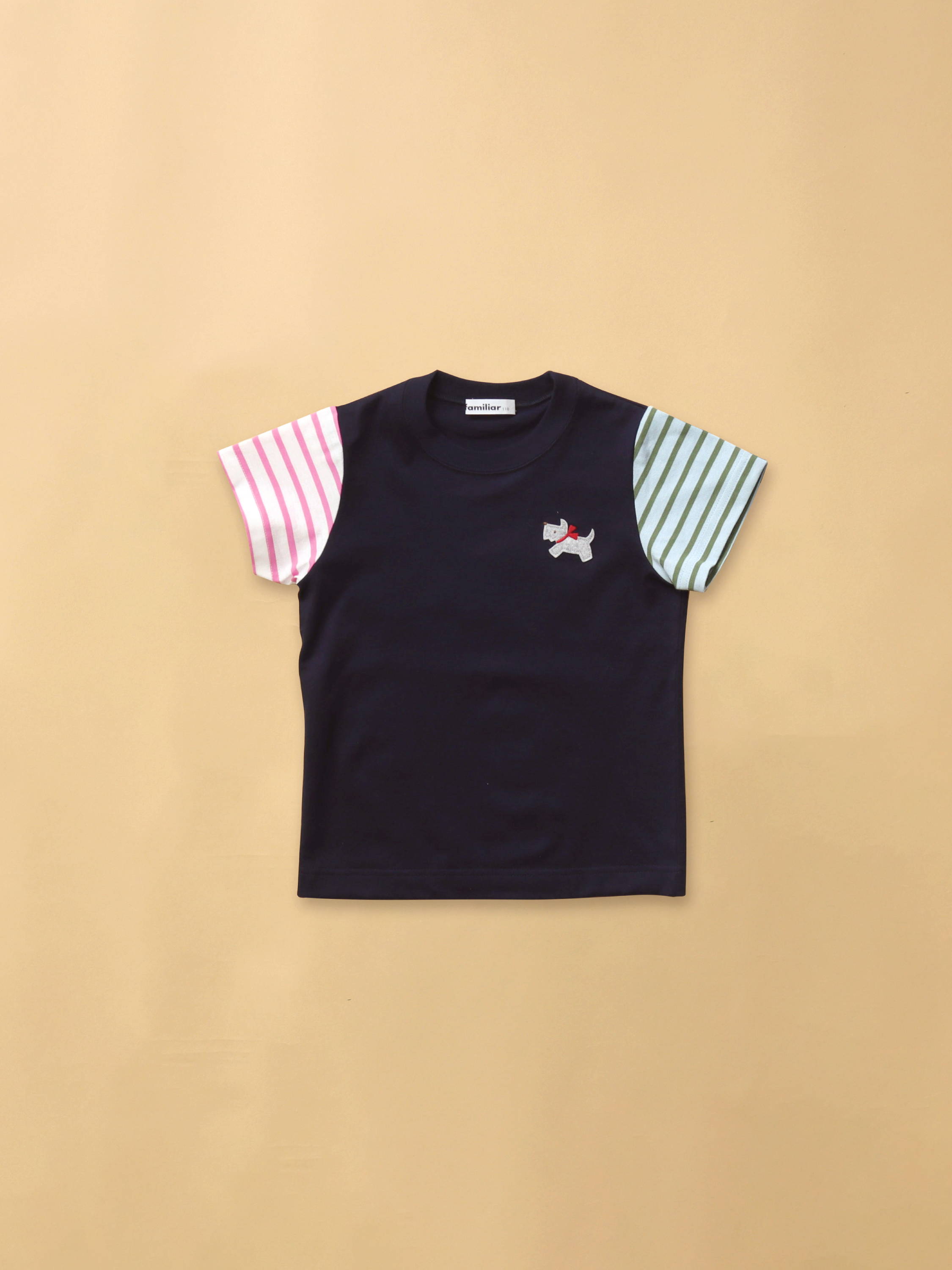 カスタマイズTシャツ （アート・刺繍）