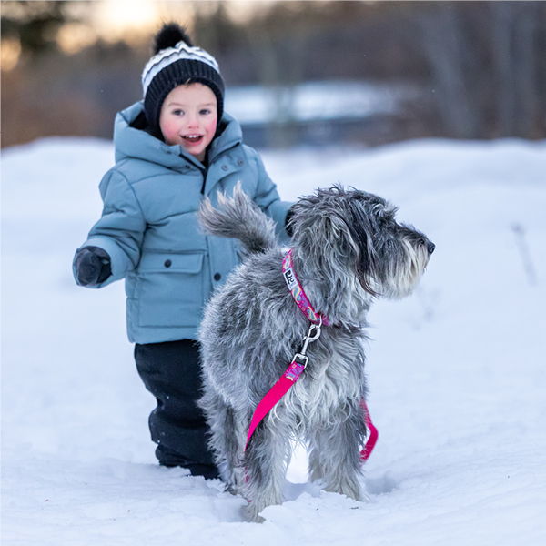 Child playing in the snow with a dog on a leash.