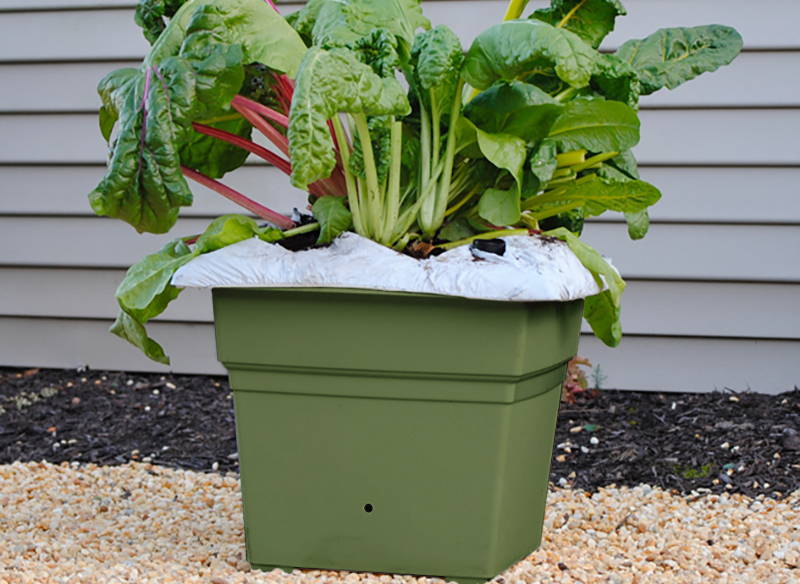 Sage green EarthBox Root & Veg container gardening system