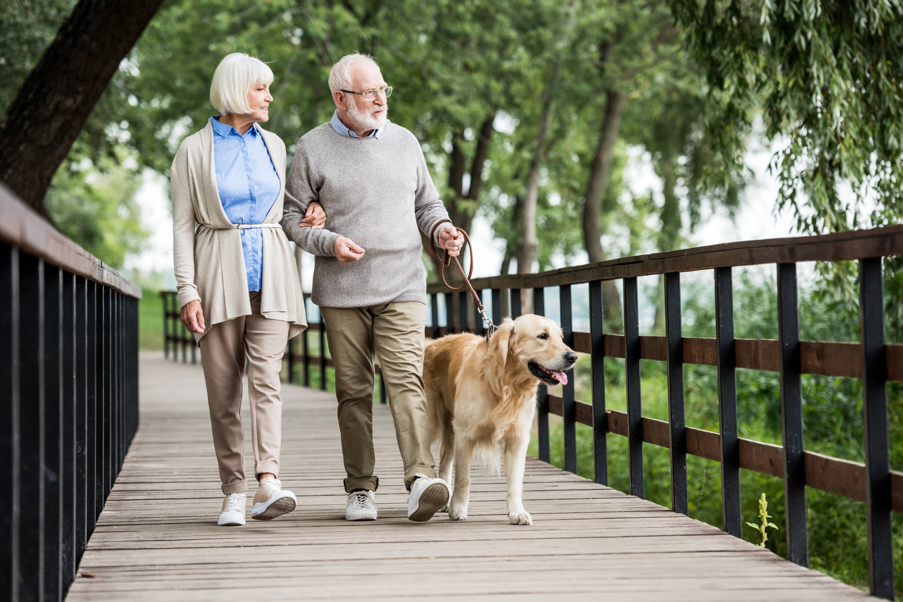 elderly couple walking cute dog