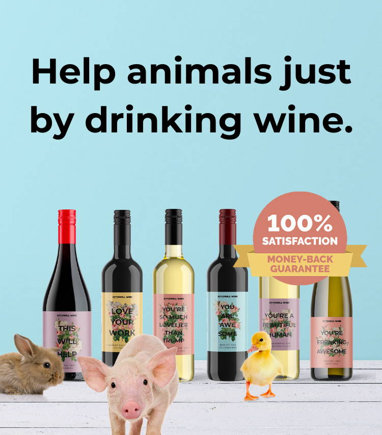 Help animals just by drinking wine.