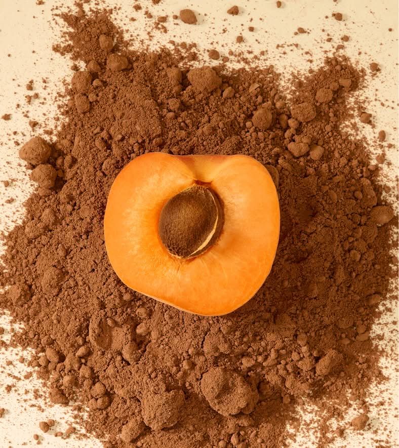 Apricot half on cocoa powder background.