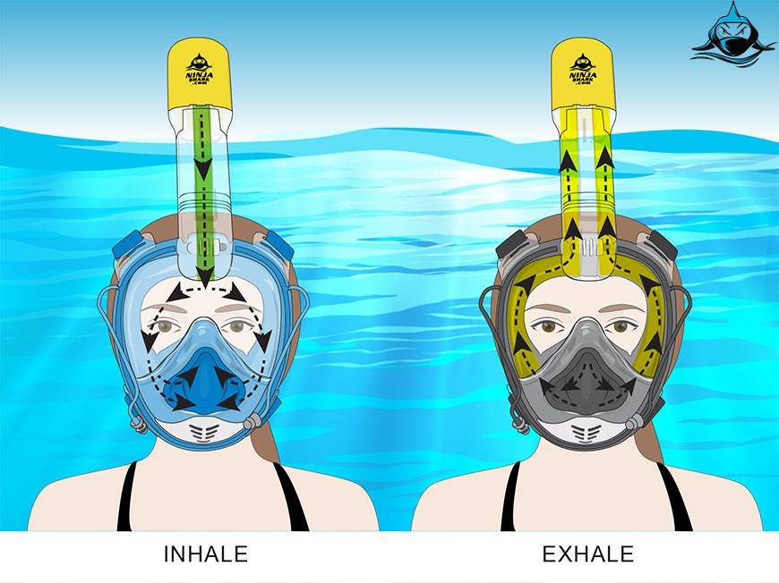 Full Face Snorkeling Snorkel Mask Diving Breather By Nose GoPro Mount Australia 