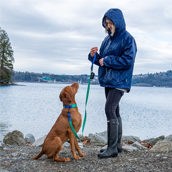 Person with a dog by a lake on a cloudy day.