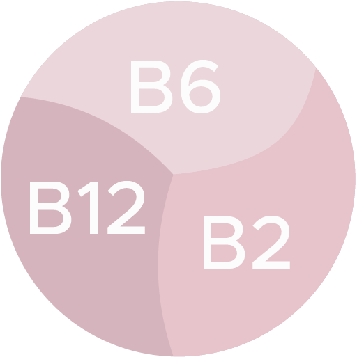 B Vitamins Icon