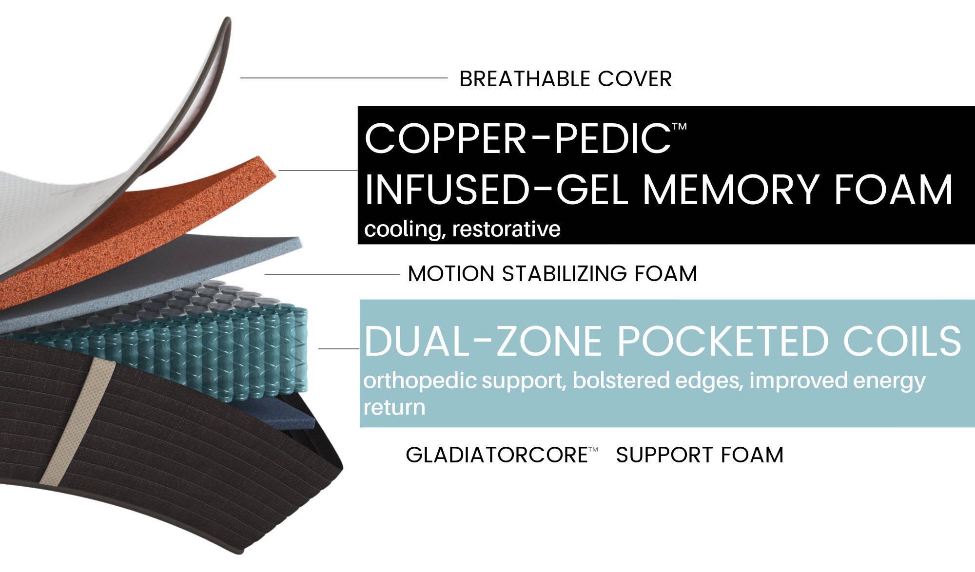 Open hybrid mattress with layers showing: soft organic cotton fabric, copper-infused cooling memory foam, motion stabilizing foam, dual-zone coils with bolstered sides, support foam made from plant-based GladiatorCore foam.