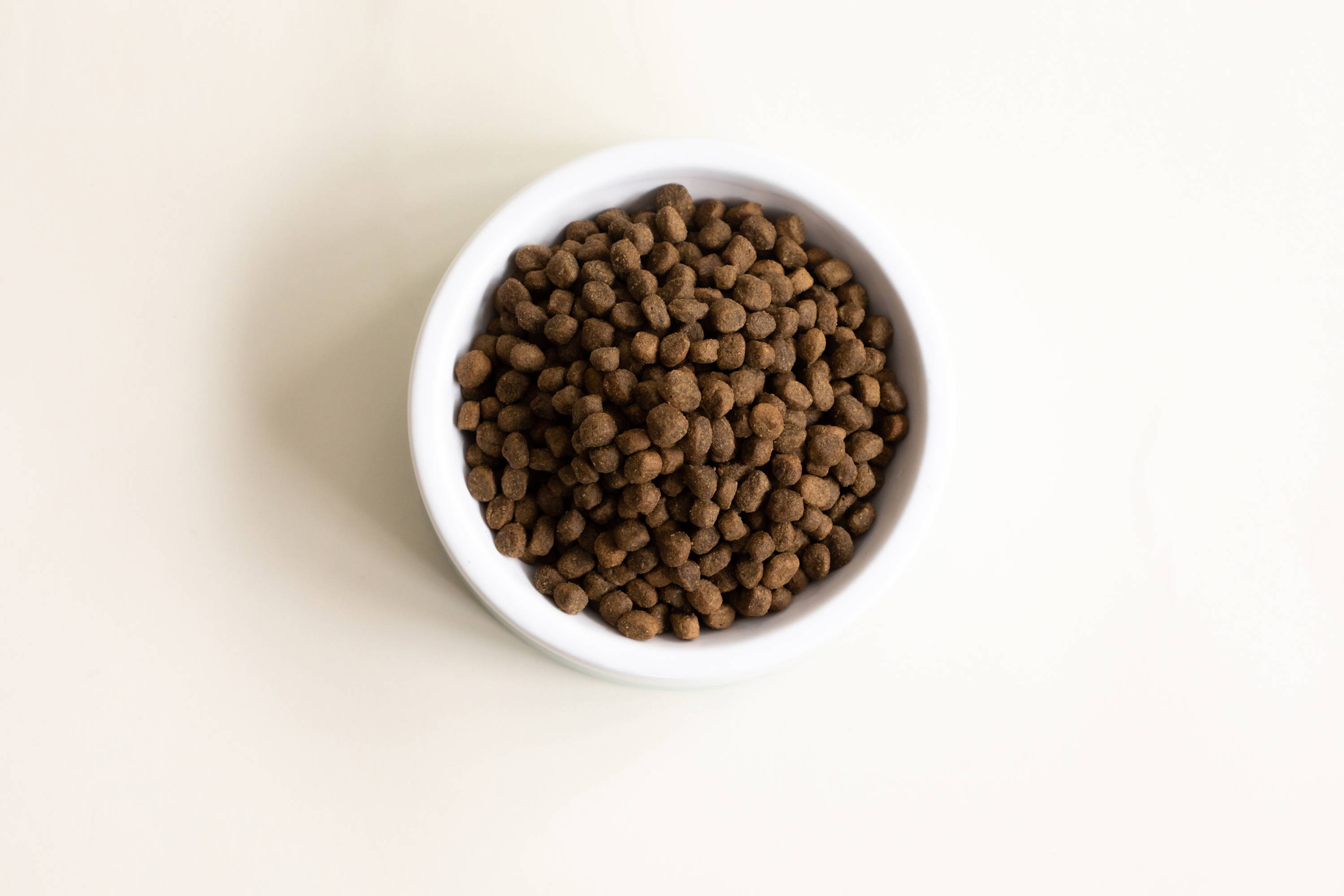 An image of a white bowl full of open farms dry dog food.