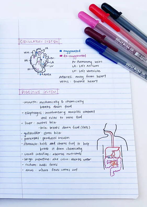 Gel Pens 101: How to Use, Store and Care for Gel Pens 