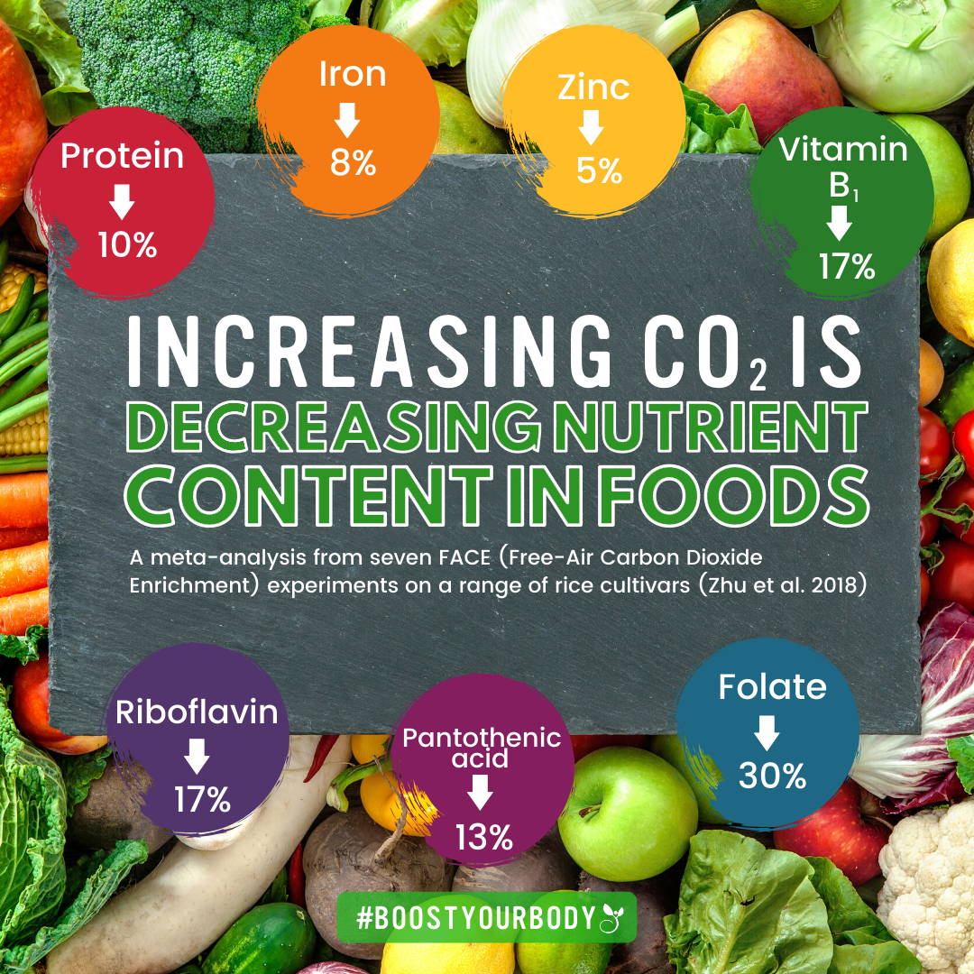 Global Warming Effects on Food