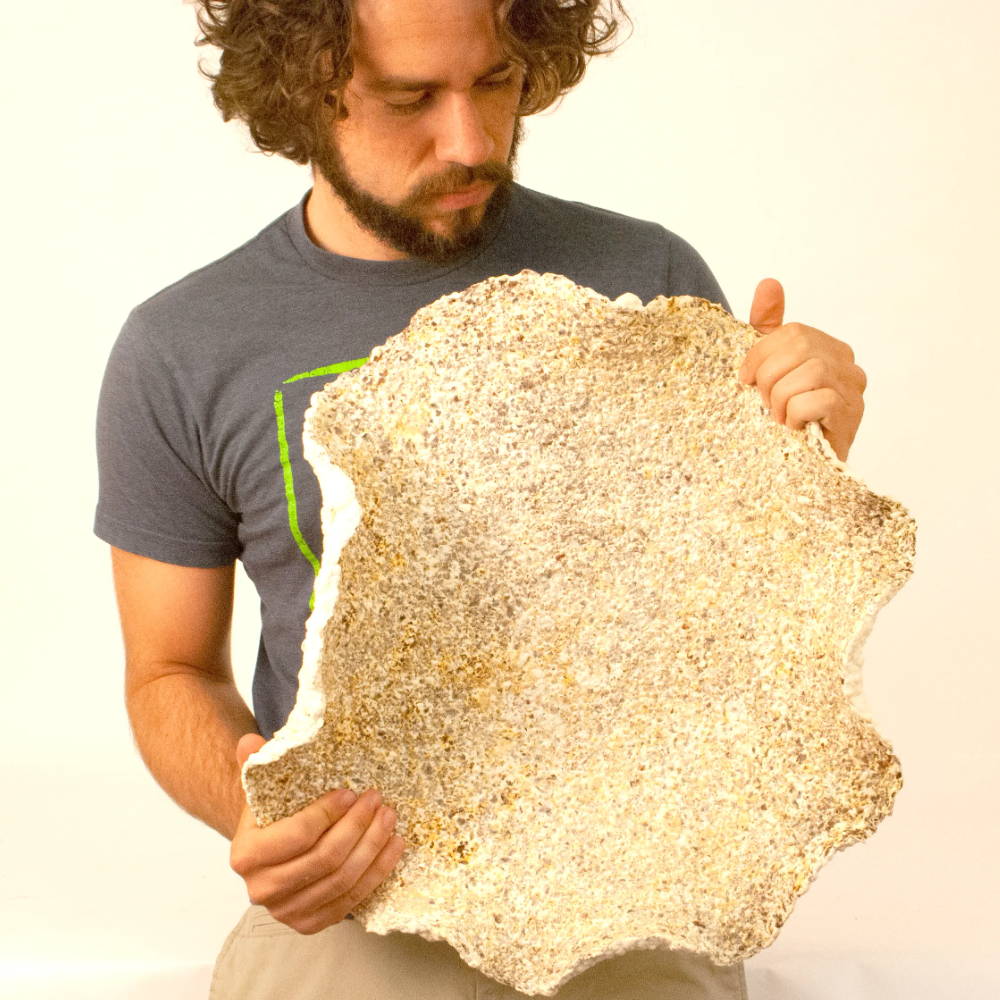 Alex Hirsig with mycelium plate