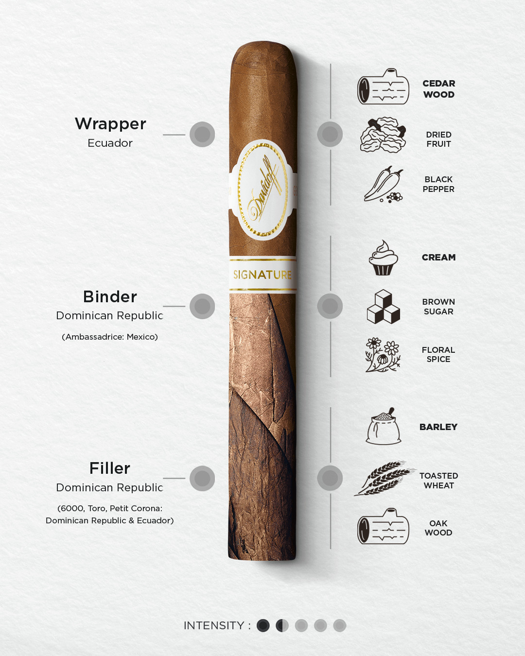 Detailed blend explanation of Davidoff Signature including intensity, main aromas and tobacco origin.