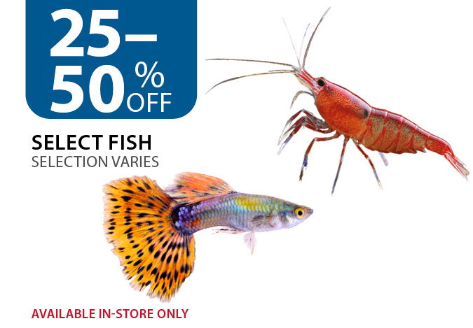 25–50% off Select Fish. Available in-store only