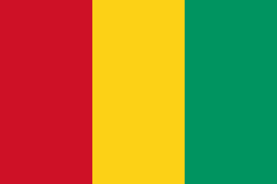 Guinea embassy legalization of documents