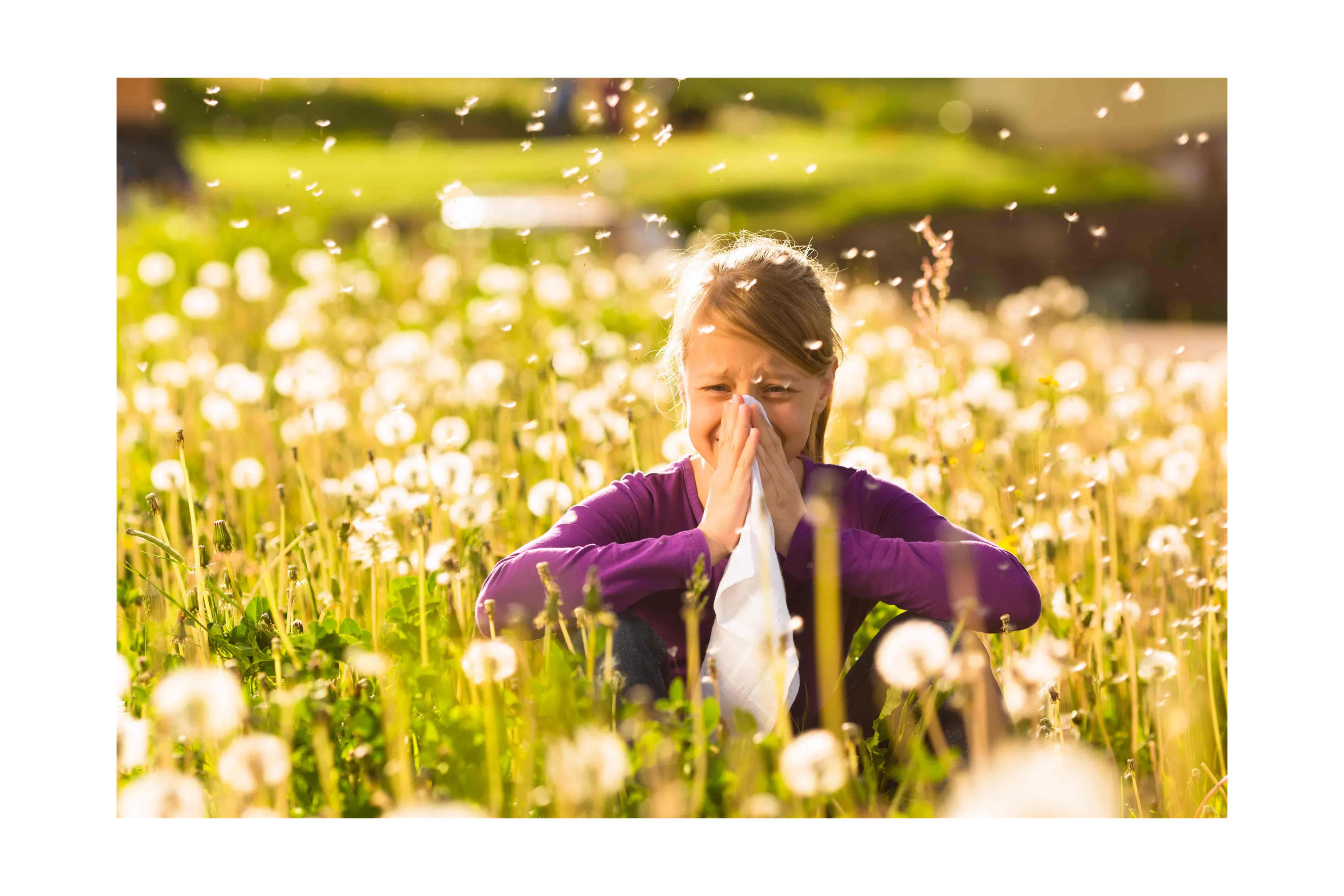 child sitting in a field of dandelions holding a tissue to her nose
