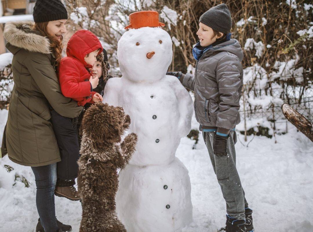build a snowman with your dogs
