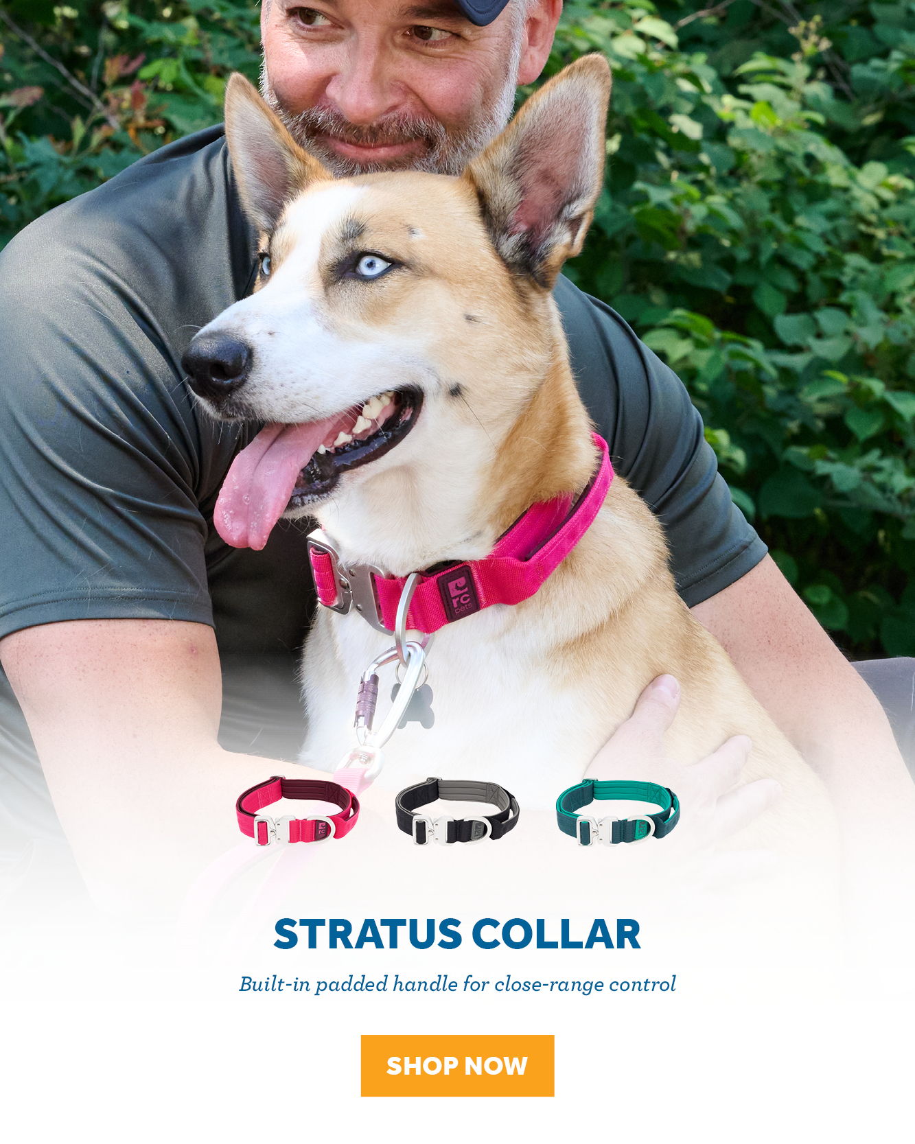 A man with a dog wearing a colorful collar. Stratus Collar advertisement.