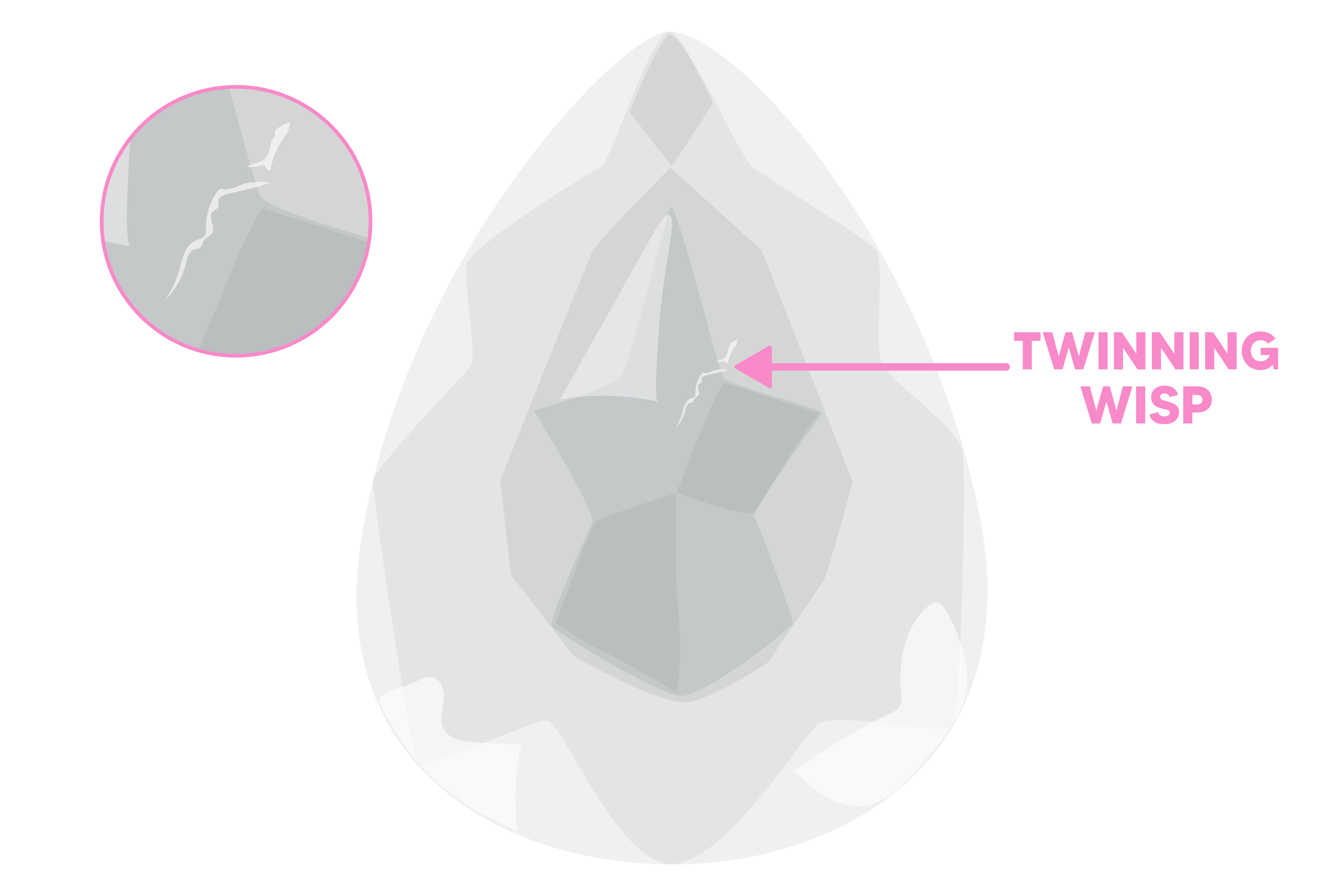 Twinning wisp diamond inclusion