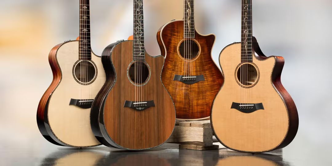 Collection of Taylor Guitars
