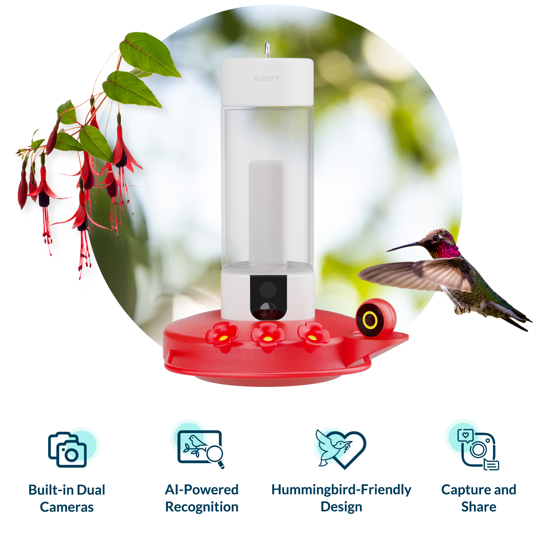 Attract Hummingbirds Easily with Birdfy Hummee Extension – netvue