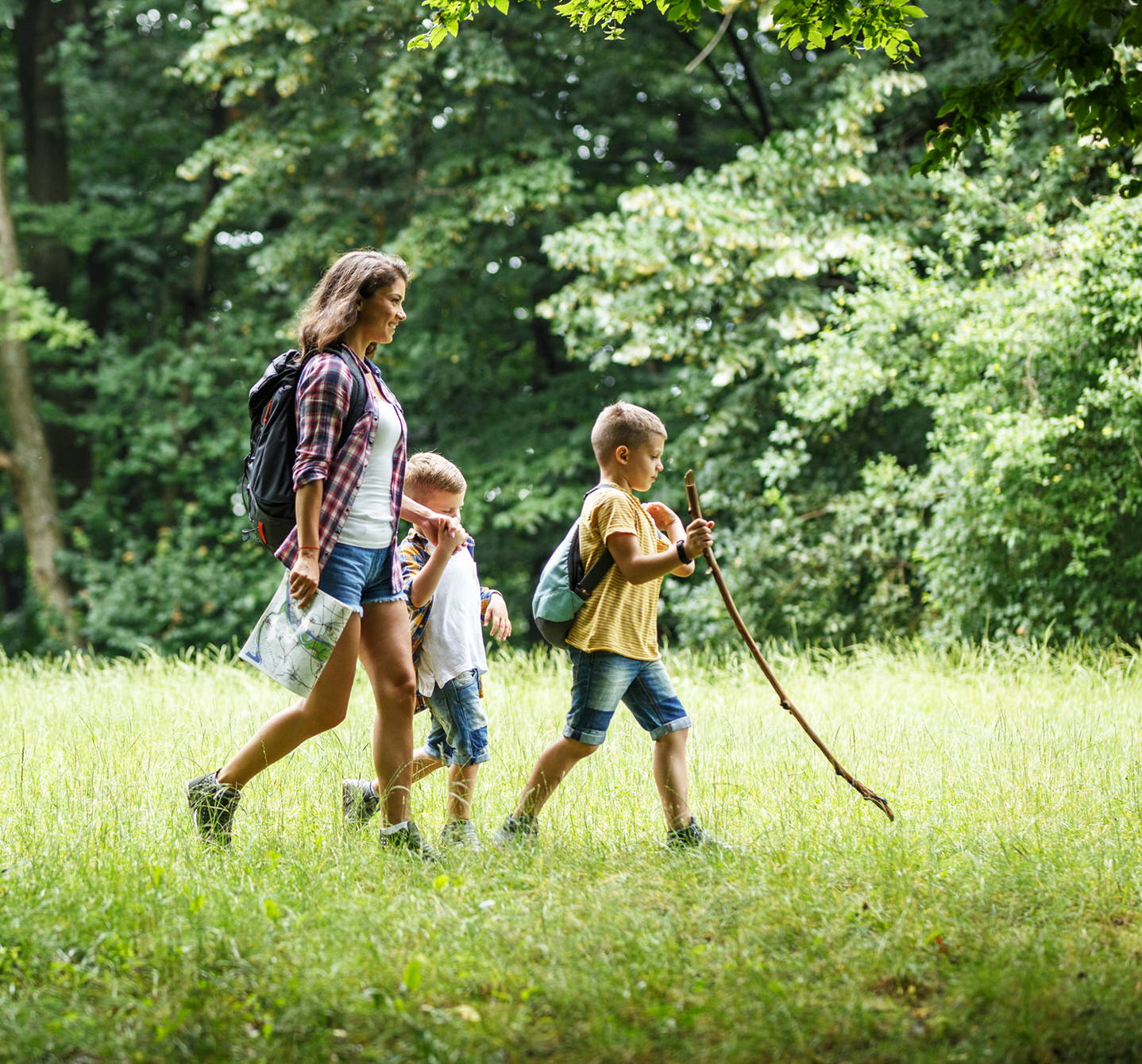 Máma a dvě malé děti na letní túře v lese. Procházejí travnatými mýtinami a hledají místo na piknik.