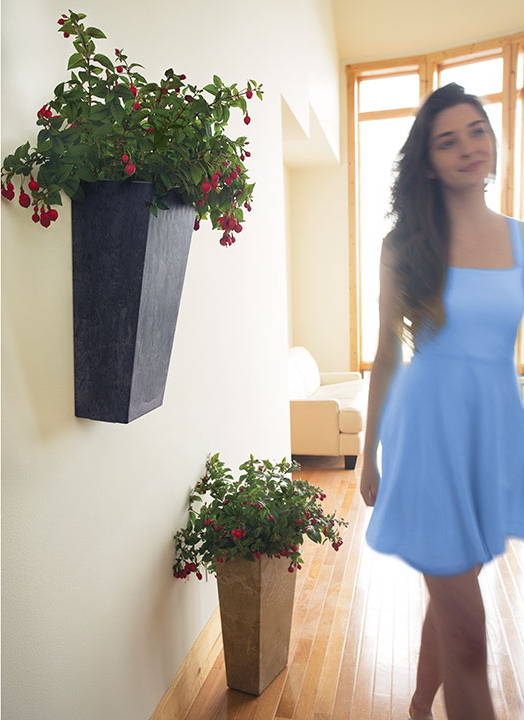 Flowers growing in wall planters