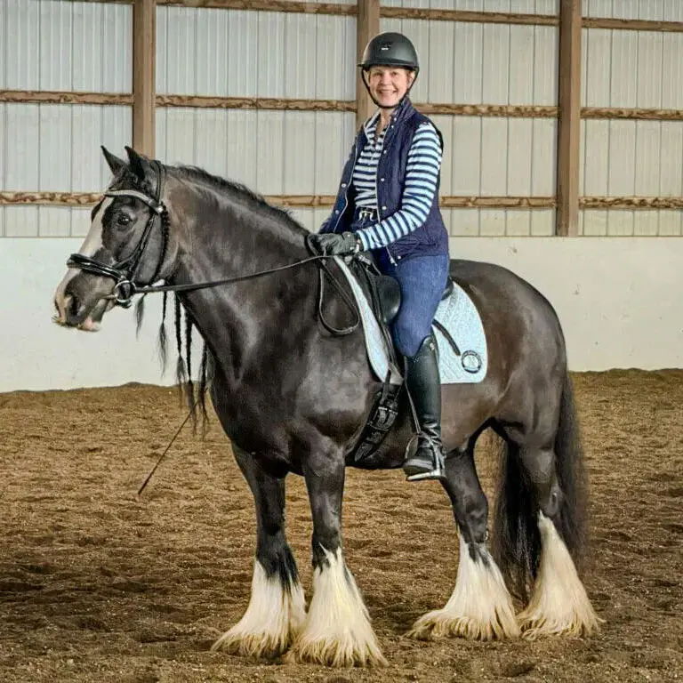 A person riding a black horse inside an indoor arena.