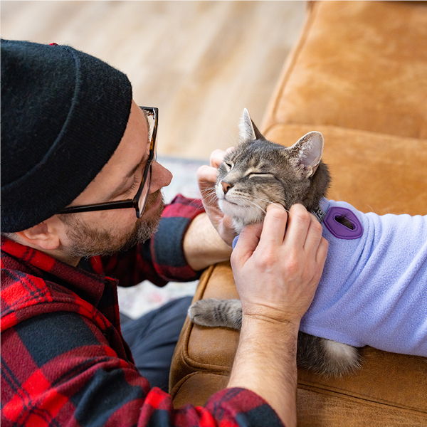 Person petting a cat wearing a sweater on a couch.