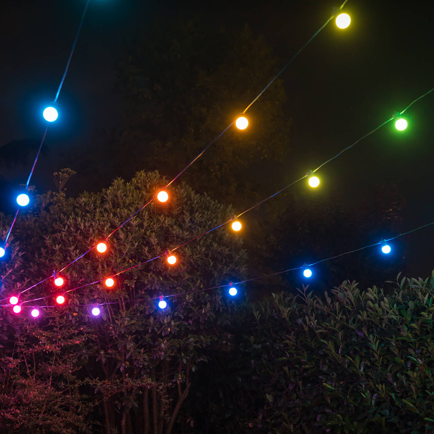 Multi coloured Twinkly festoon lights hanging outside at night with trees in the background.