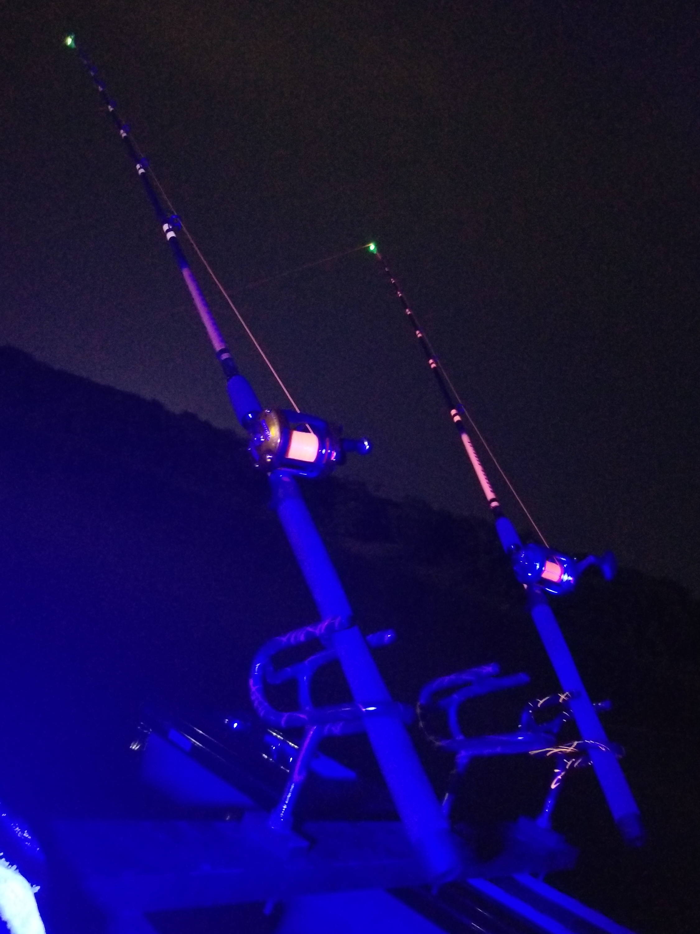 Things To Consider While Night Fishing - Whisker Seeker Tackle