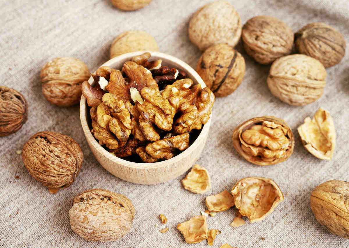 difference between nuts and seeds