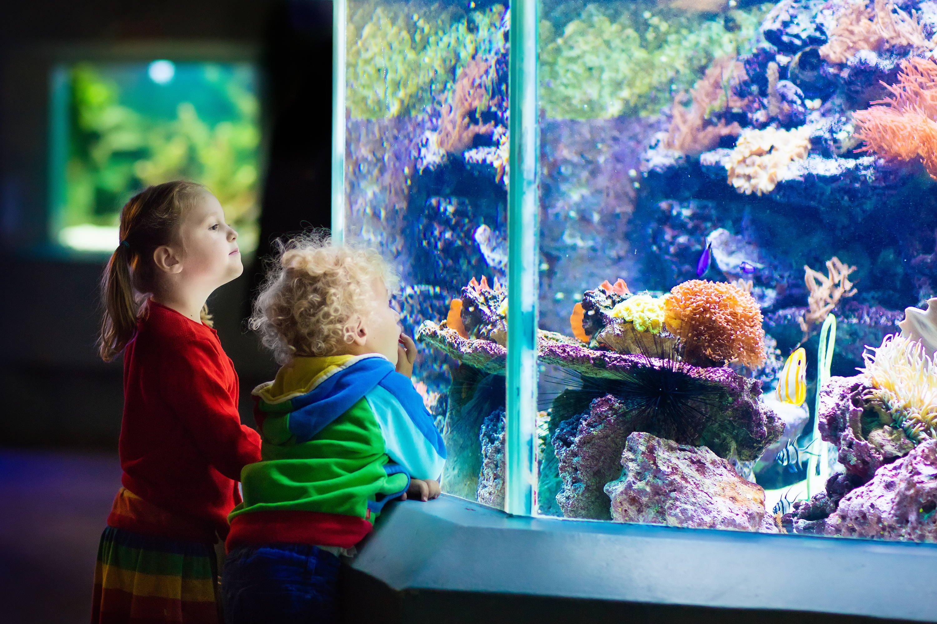 kids at an aquarium