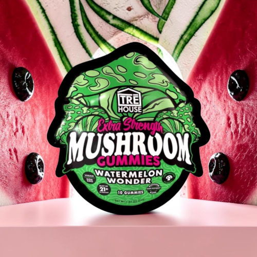 Mushroom gummies packaging with watermelon flavor design on a colorful background.