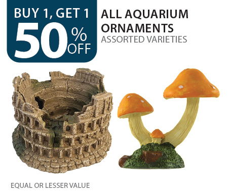Buy 1, get 1 50% off all aquarium ornaments. Equal or lesser value.