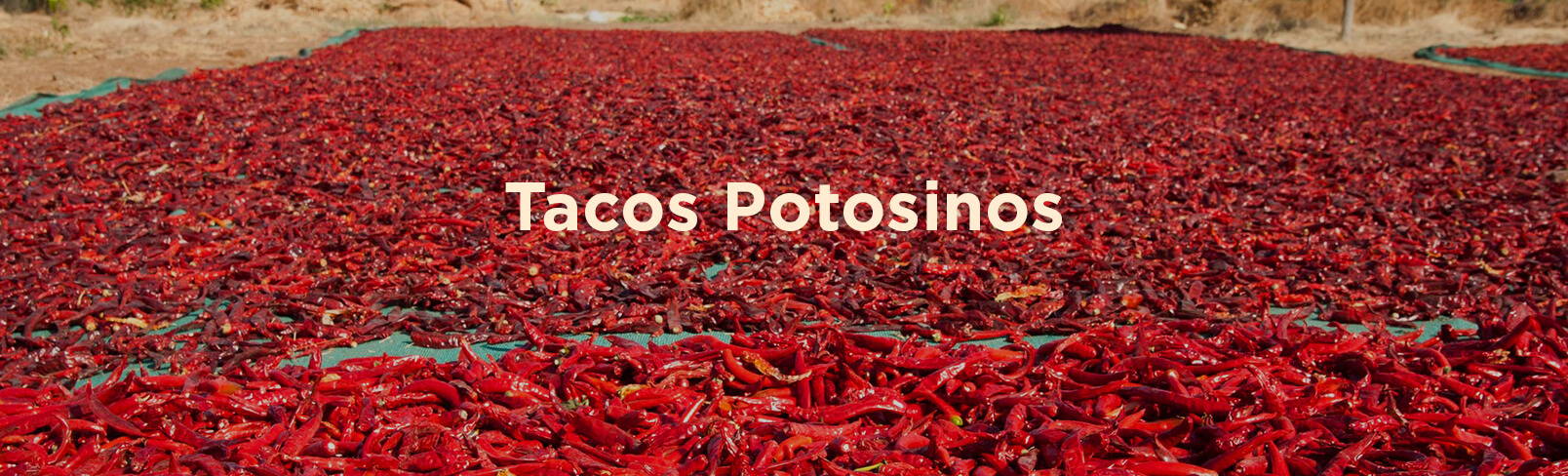 High Quality Organics Express Tacos Potosinos Chile