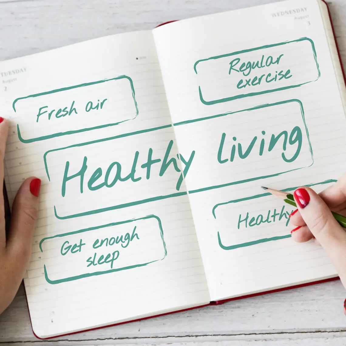 Daily small wellness habits for long-term health success