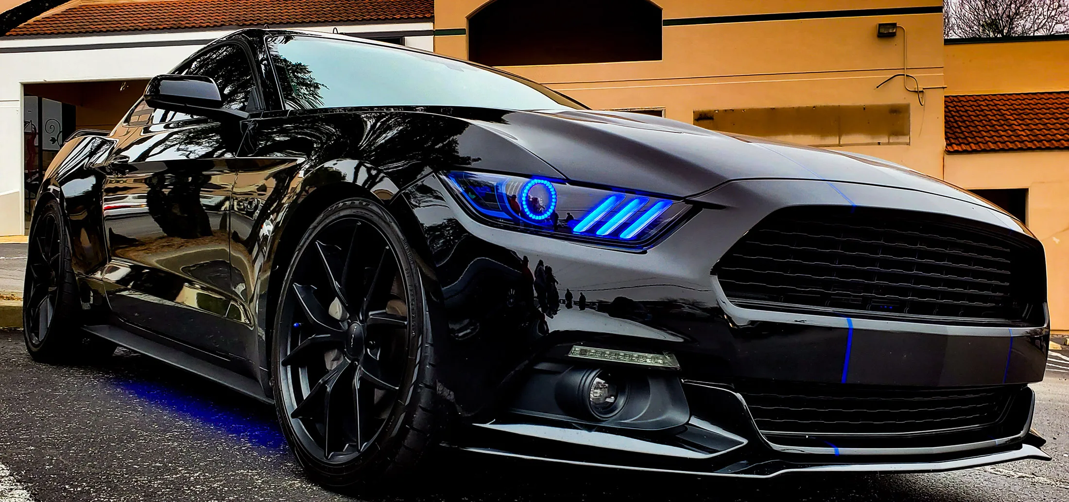 Exterior three-quarter view of Liza's 2017 Mustang GT with HornBlasters Conductor's Special 228H train horn kit featured customer install gallery photo 1