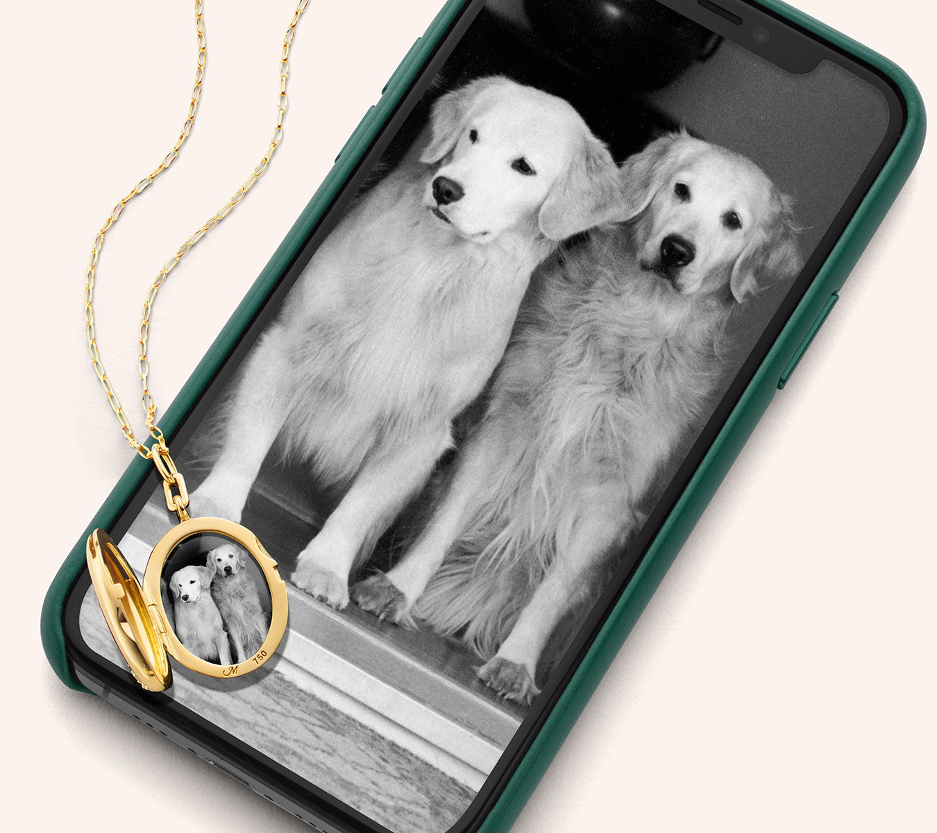 A phone case featuring a black-and-white photo of two golden retrievers.