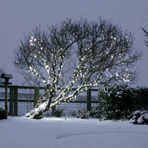 Snowy garden with a tree wrapped in white fairy lights.