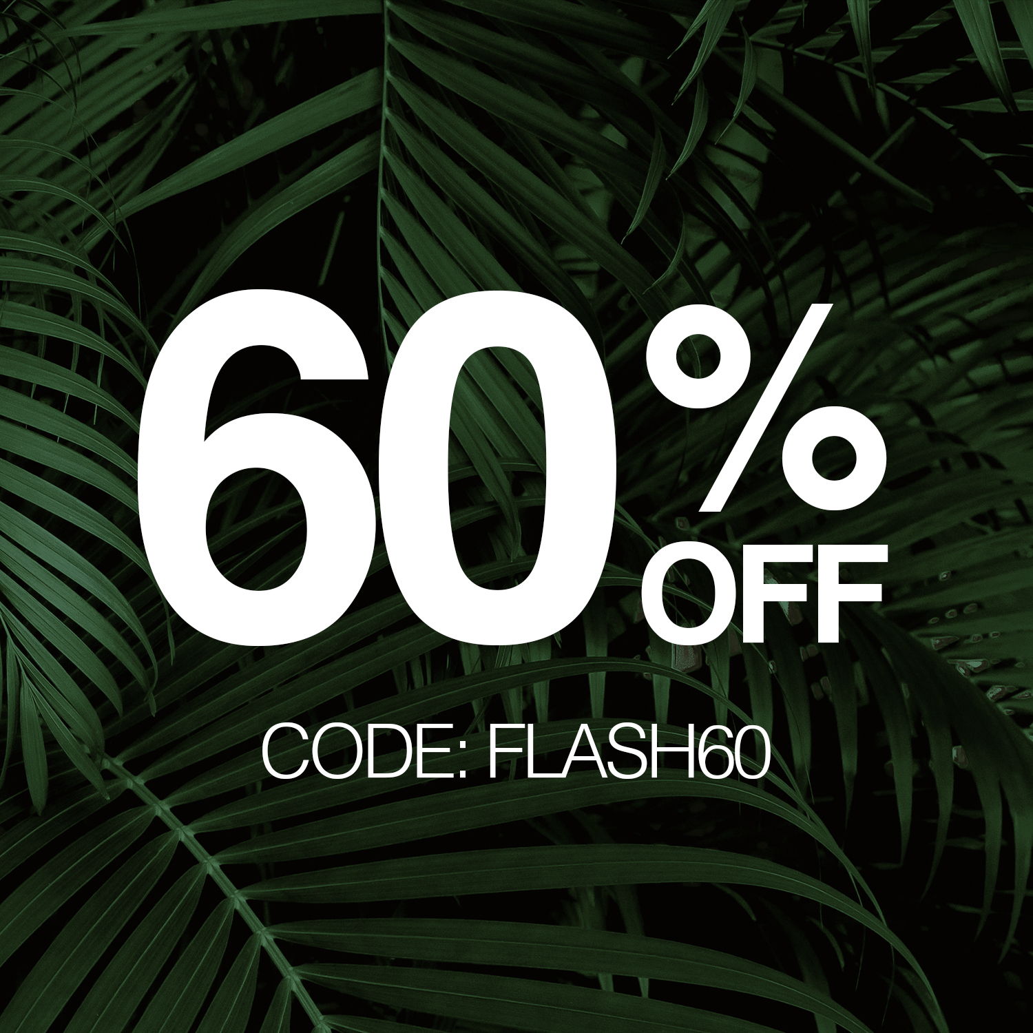 60% OFF, CODE: FLASH60, on a leafy background.