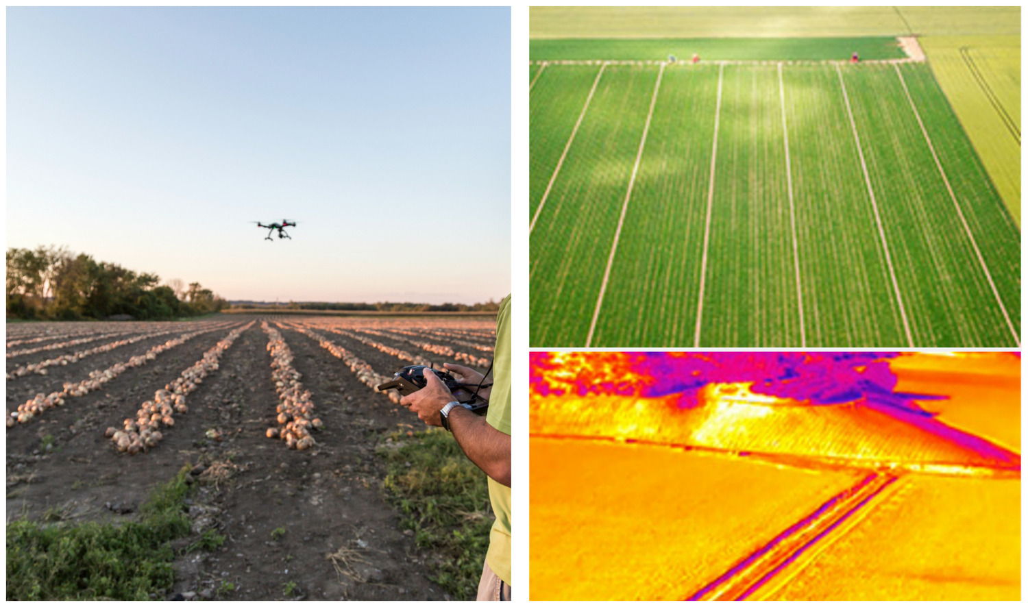 Drone flying over fields with thermal imagery of crops.