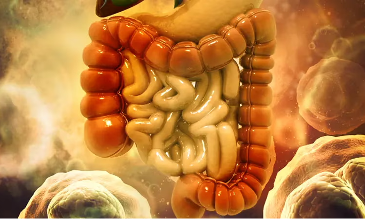 Can Your Gut Affect Weight Loss? The Science Behind Gut Health and Metabolism