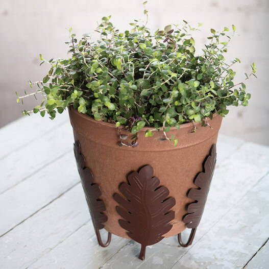 A dolce round planter inside a botanical leaf plant stand