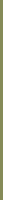 Bright green background with a textured pattern.