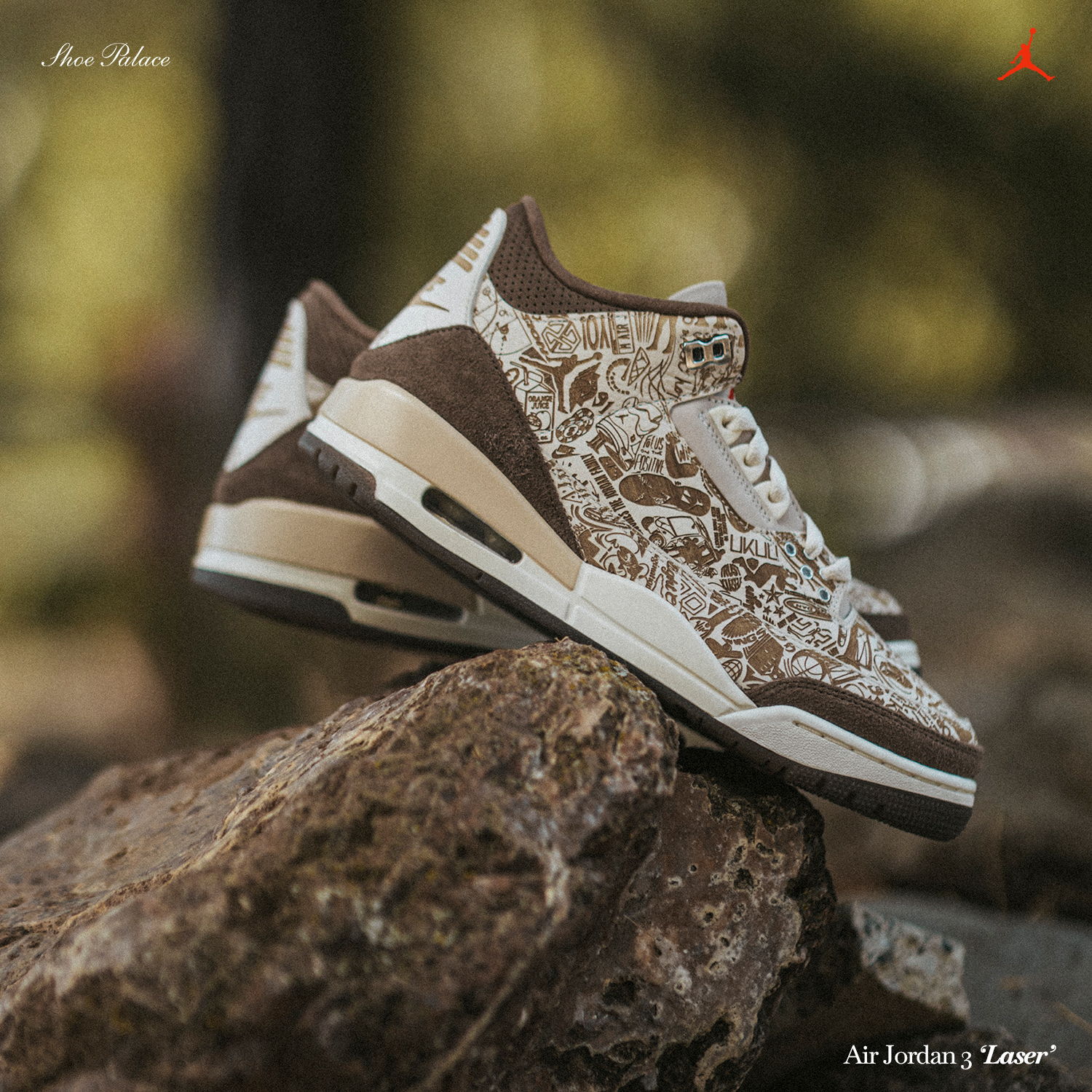 Air Jordan 3 sneakers on a rock with a natural background.