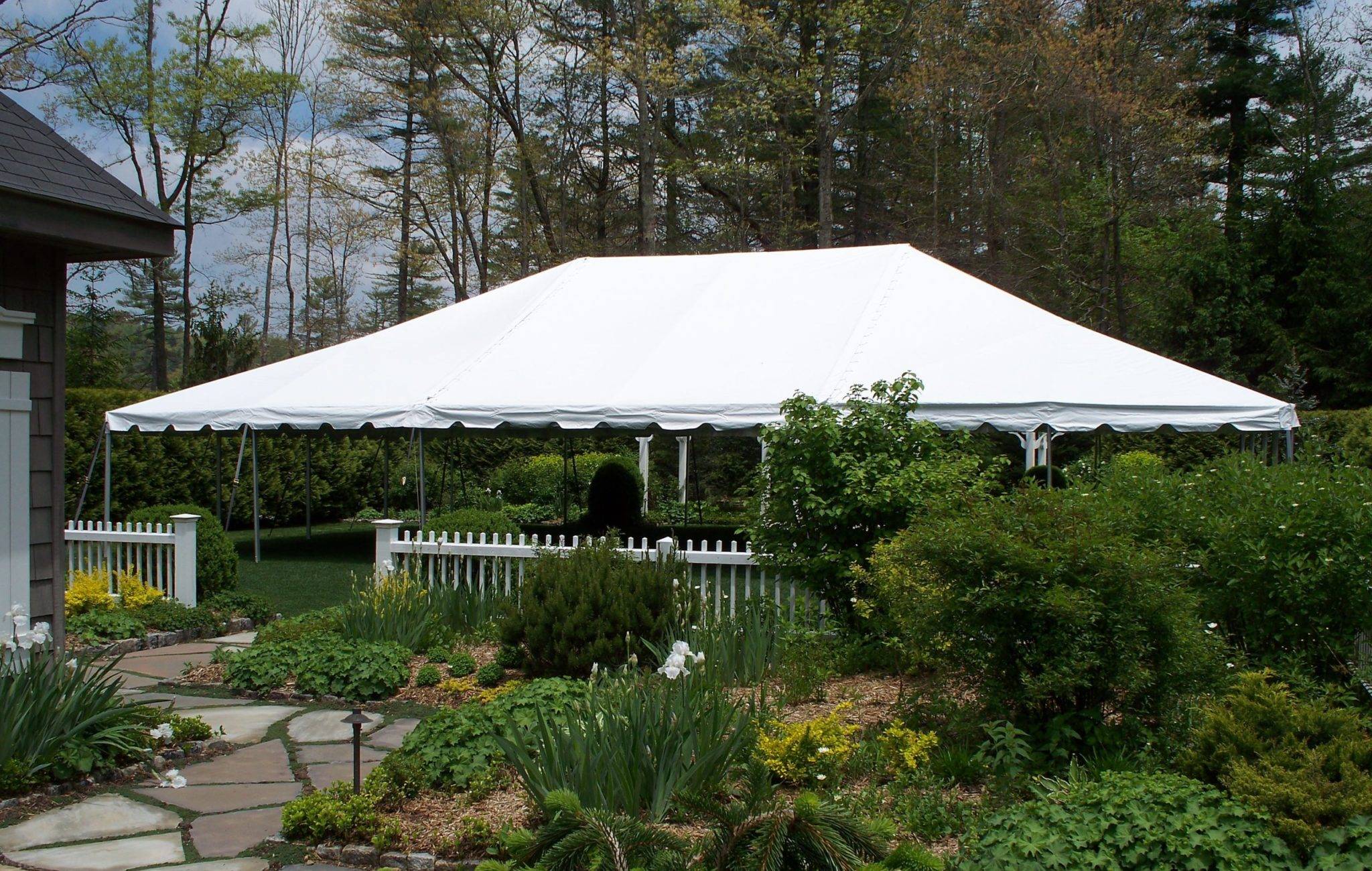 party tent rental setup in backyard